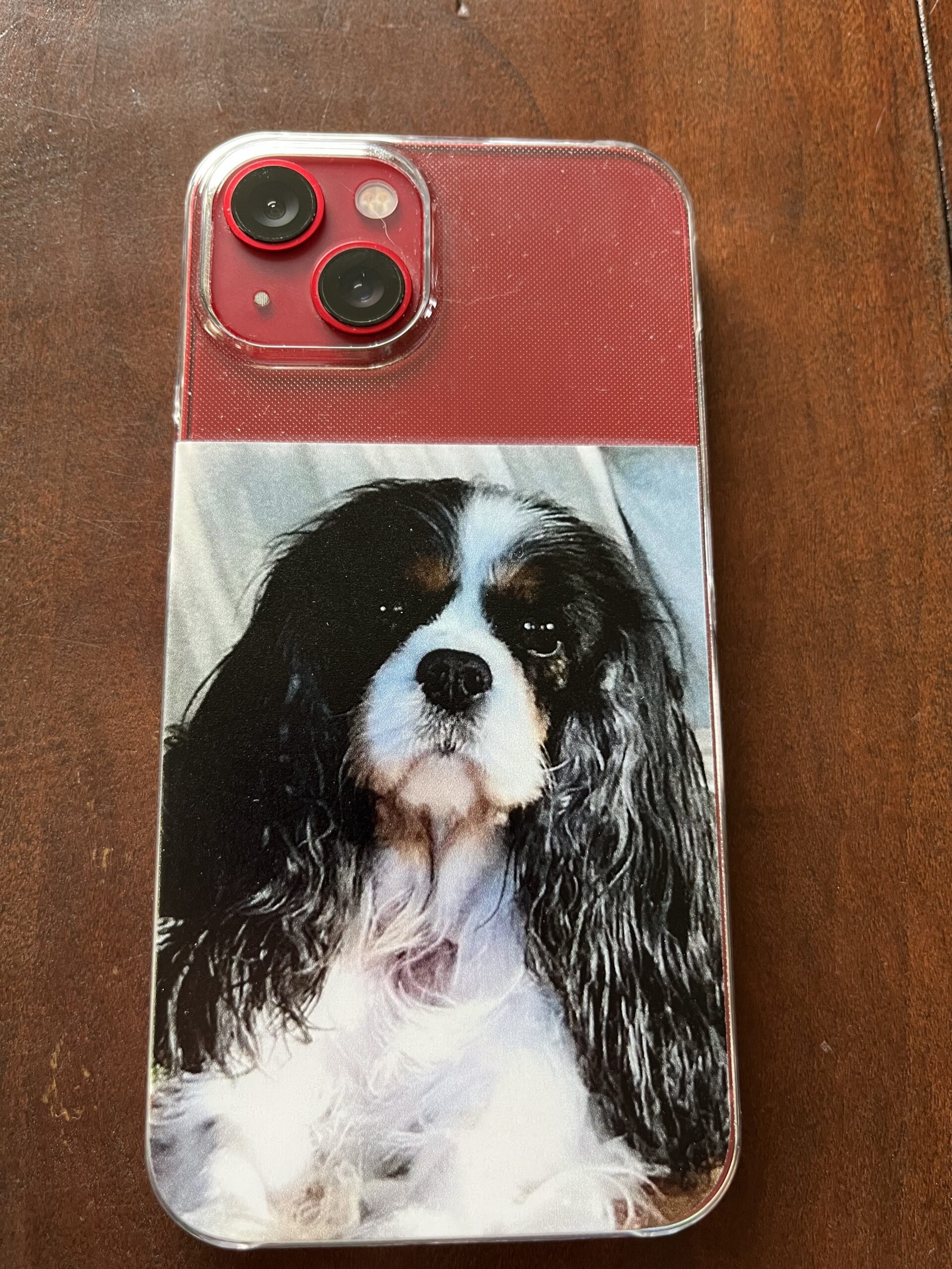 Click to view full screen Ontwerp je eigen iPhone 13 hoesje - hard transparant photo review